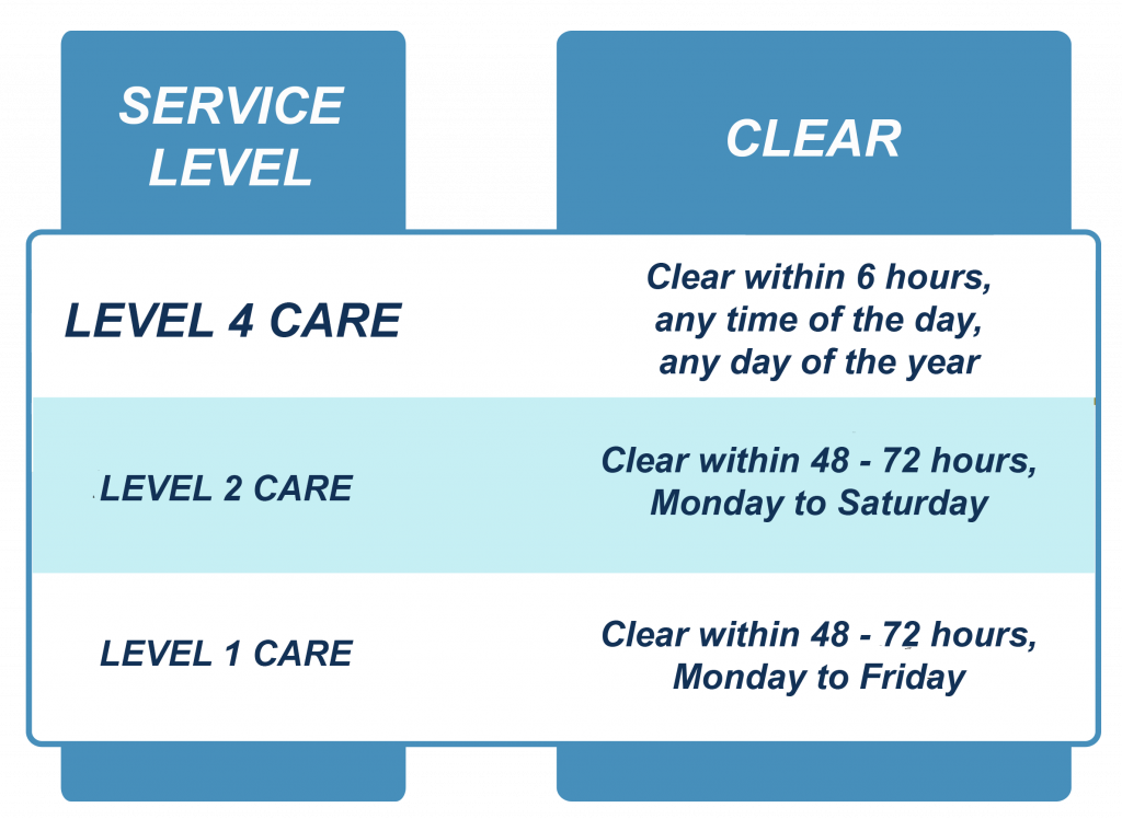 level 4 care